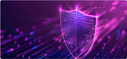 Enterprise Security
